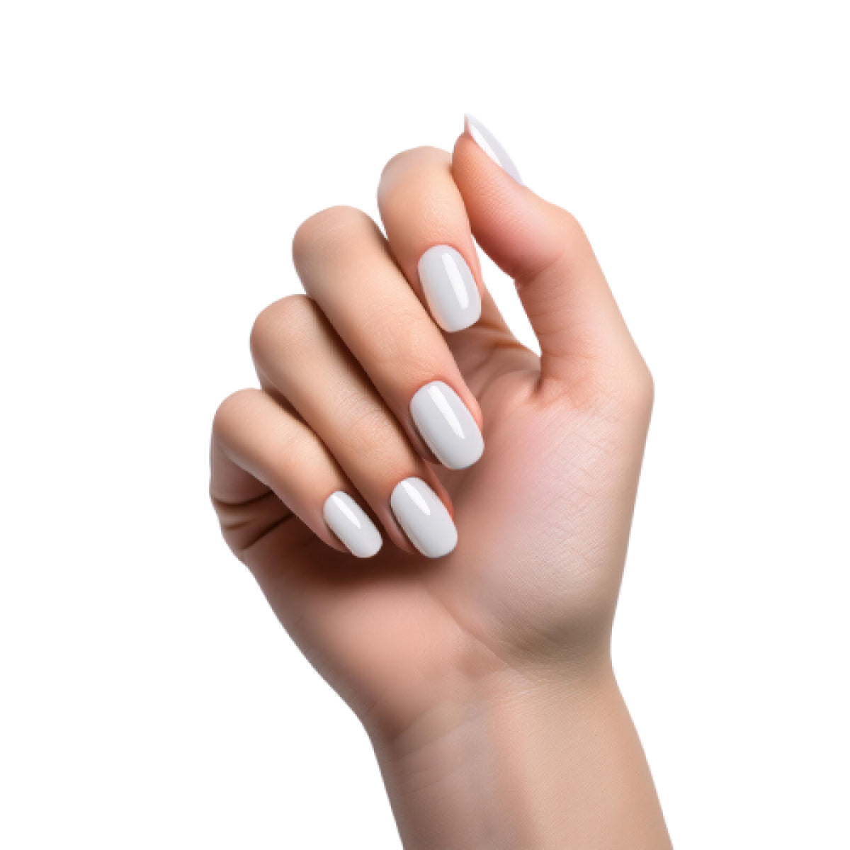 Taylor TRUE WHITE