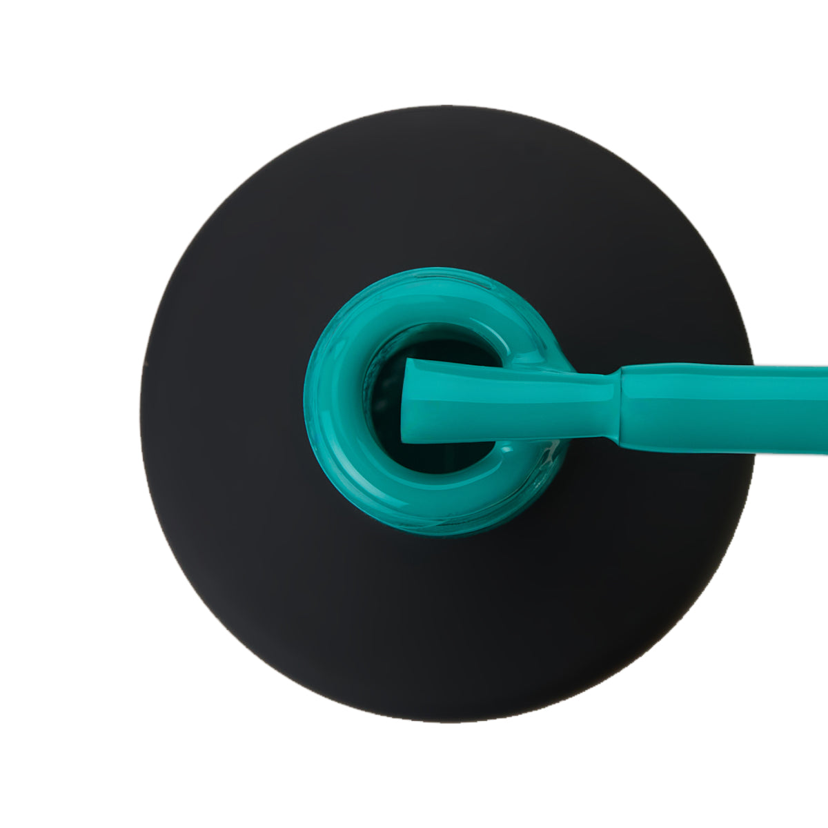 קולקציית VACATION 🏖️