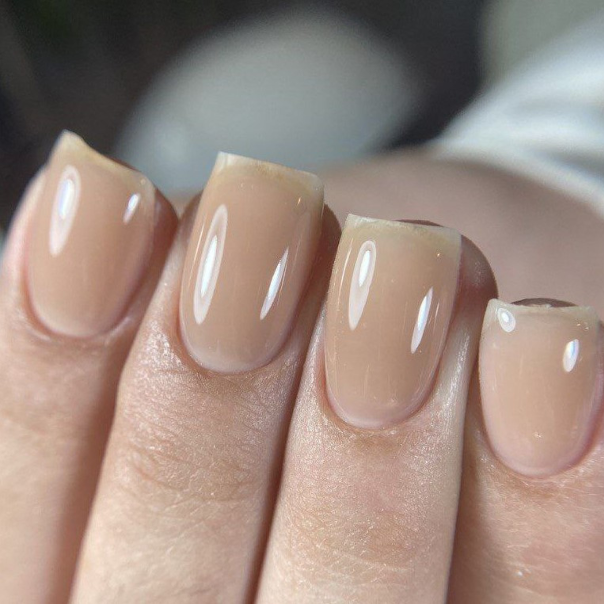 MARIA (בסיס בצבע 11)