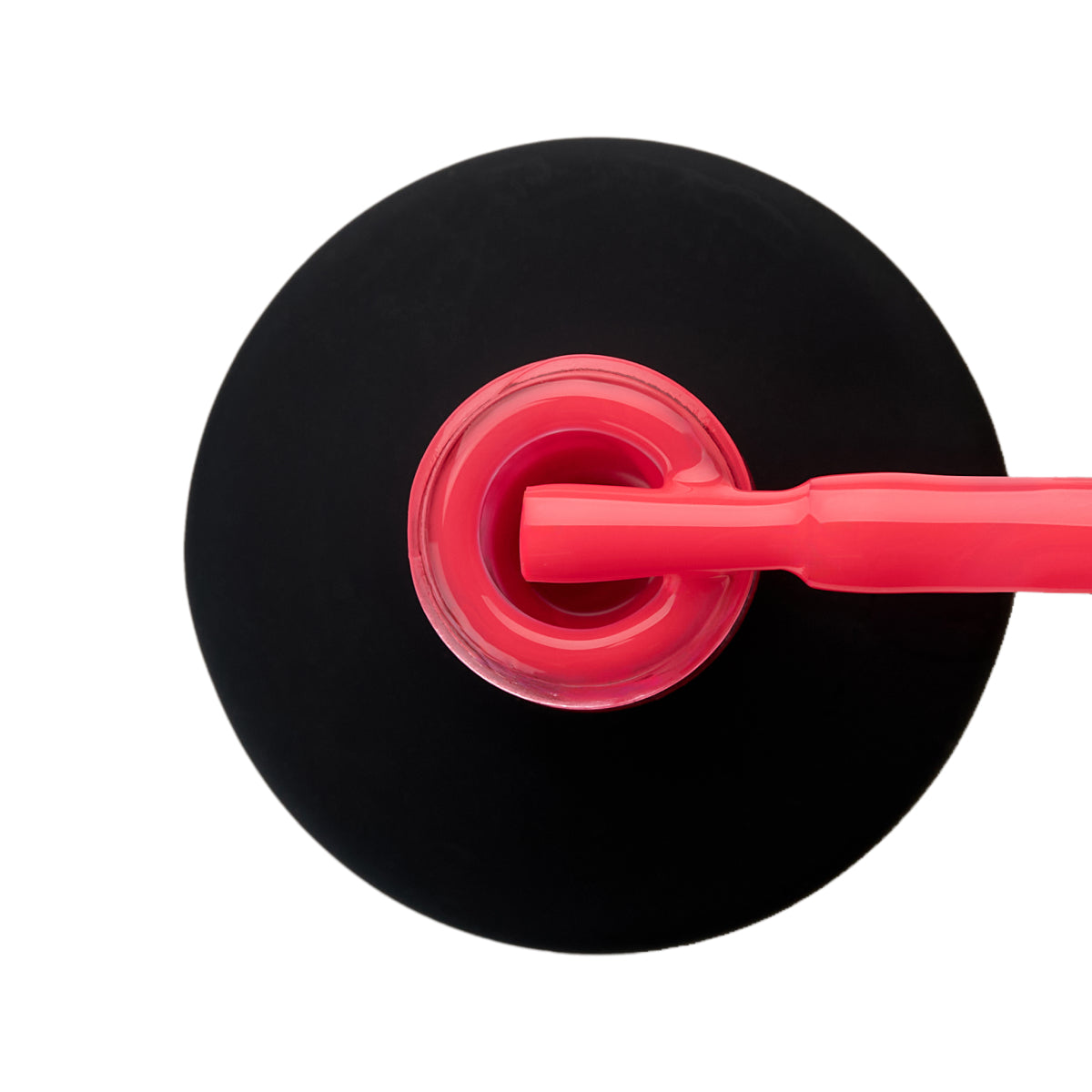 Taylor SAN FRANSISCO