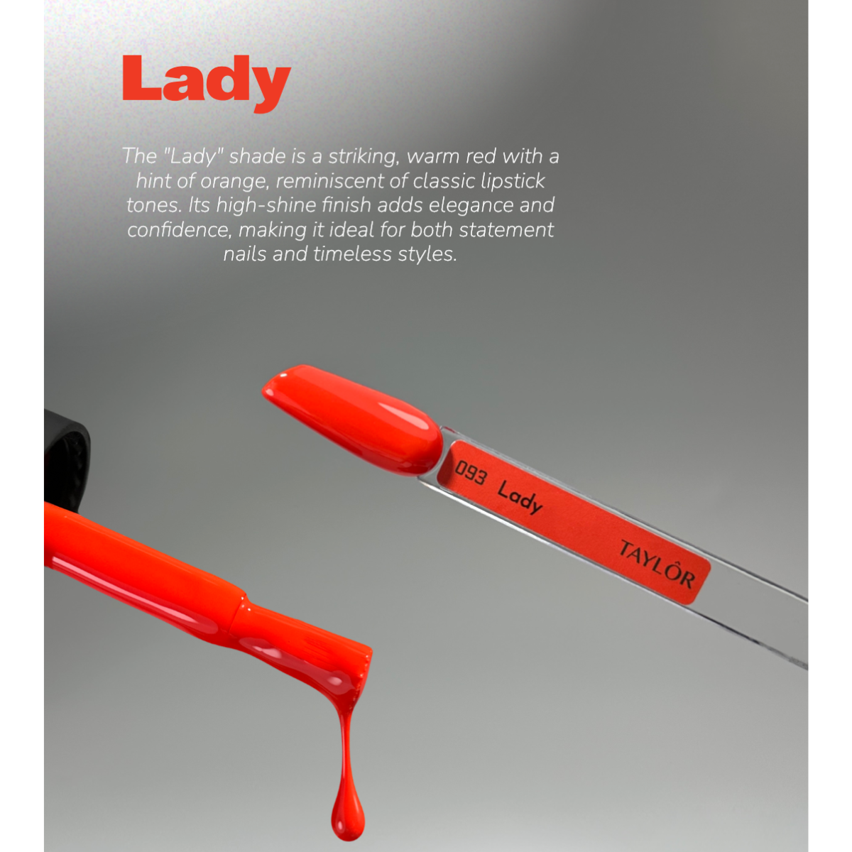 Taylor LADY