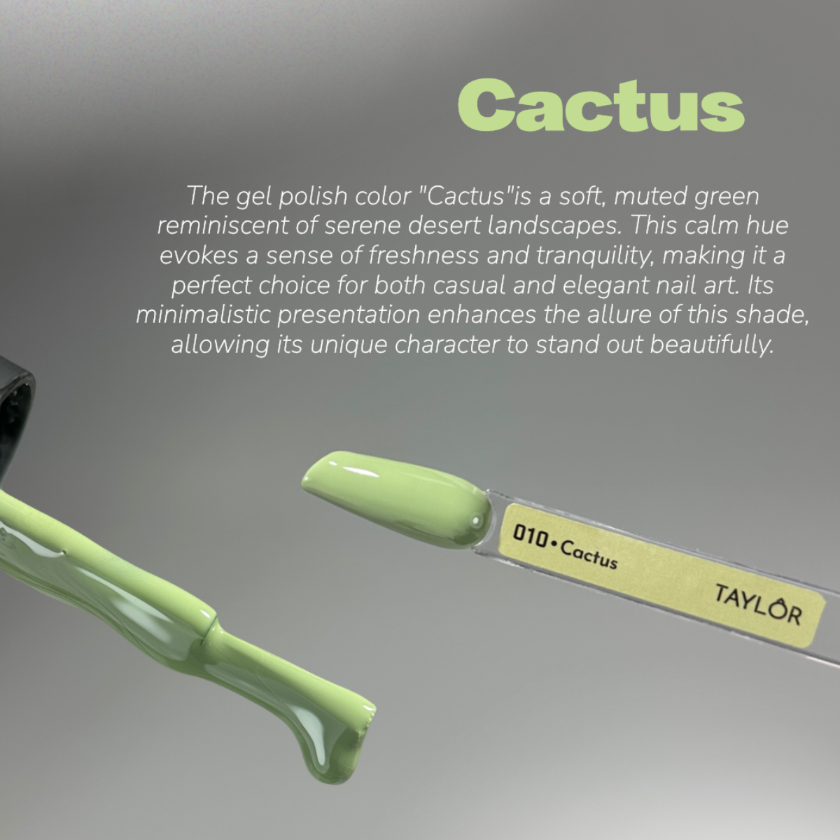 Taylor CACTUS