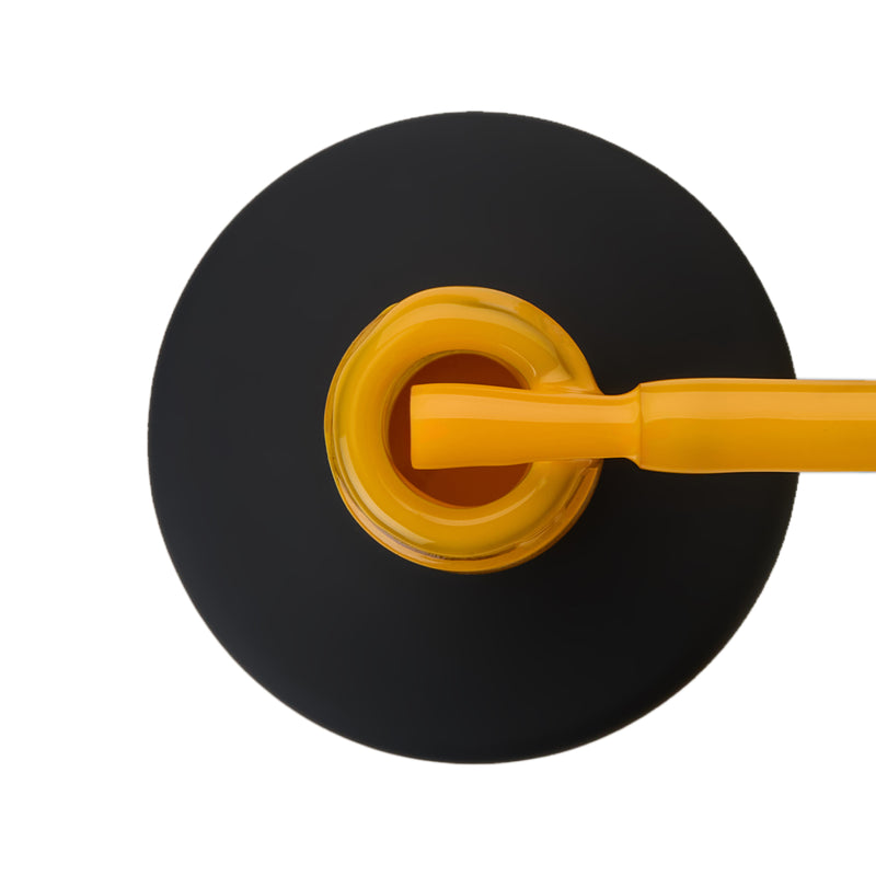 TAYLOR AMBER DREAM 99