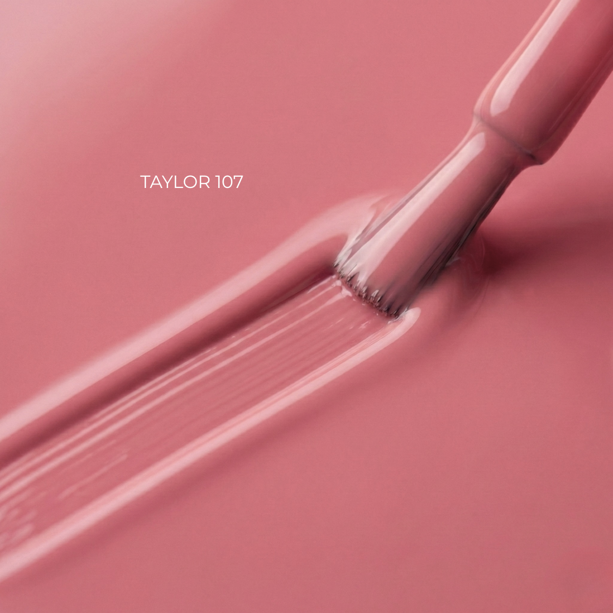 Taylor LETS DATE 107