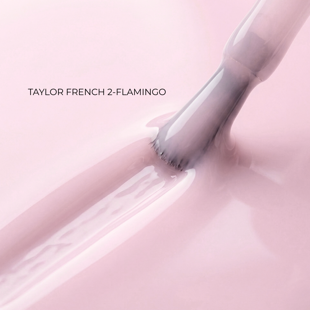 Taylor FLAMINGO