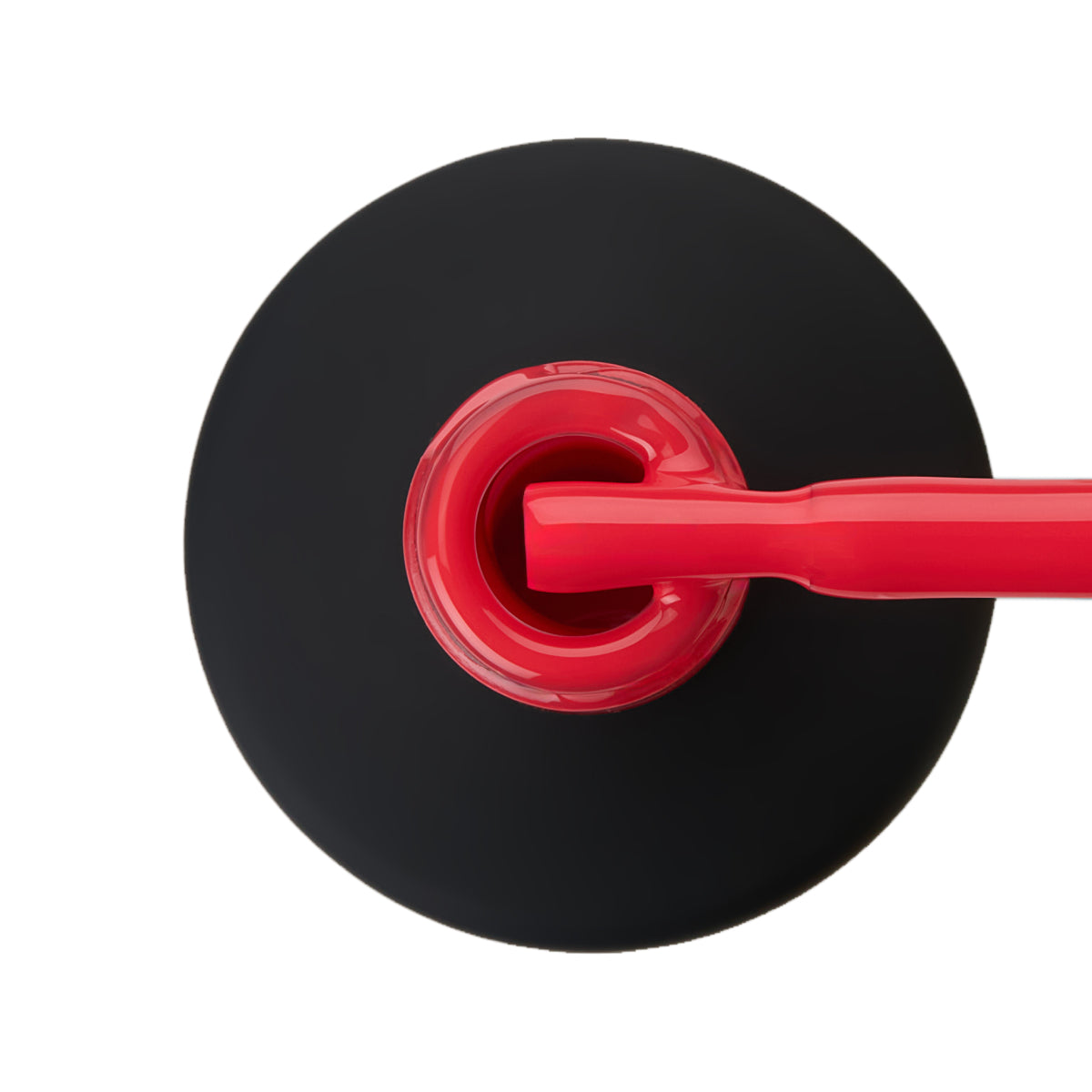 קולקציית BERRIES 🍓