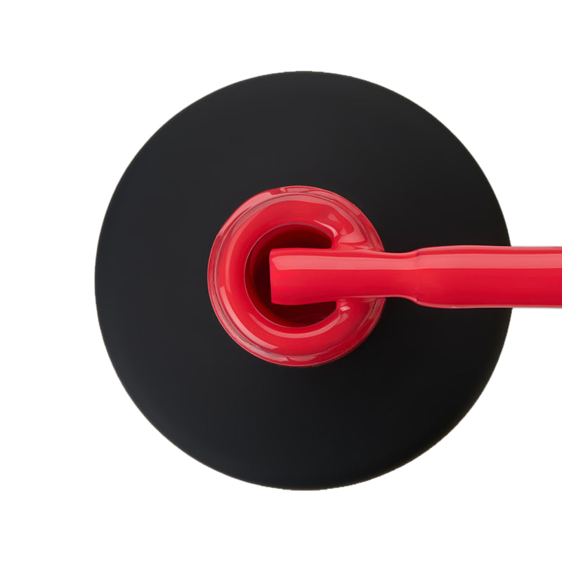 קולקציית BERRIES 🍓