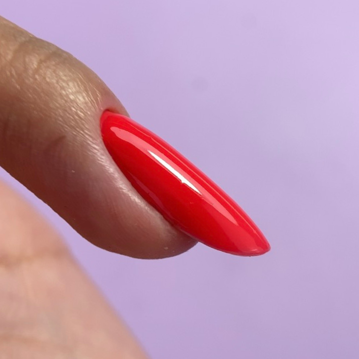 קורס דיגיטלי "מריחה מושלמת"