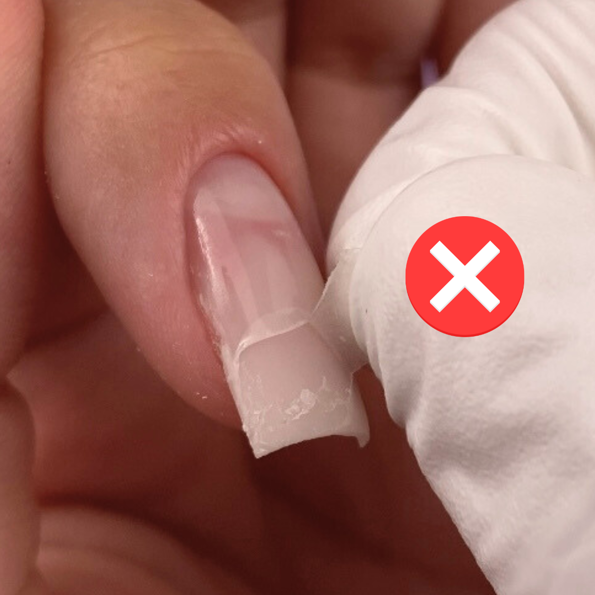 קורס דיגיטלי "PREP & BASE"