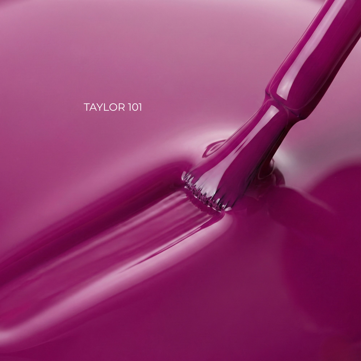 Taylor VOUGE 101