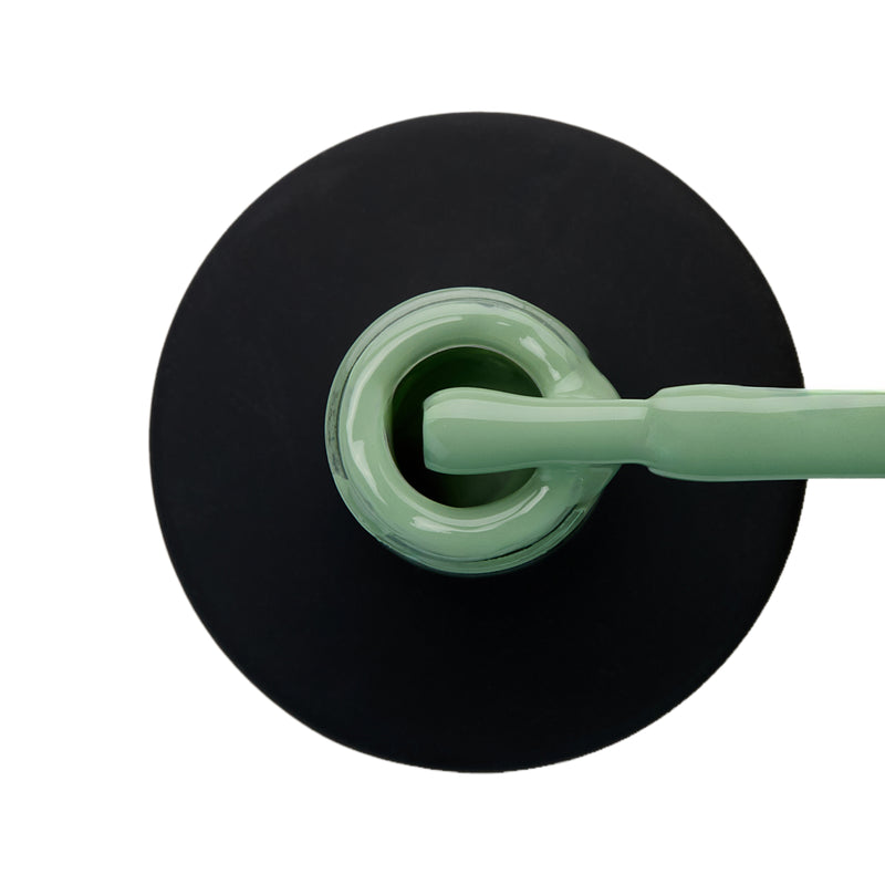 Taylor OLD SCHOOL 42