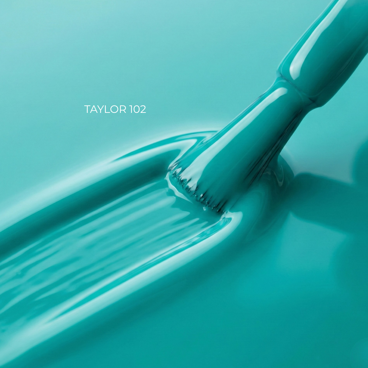 Taylor COSTA RICA 102